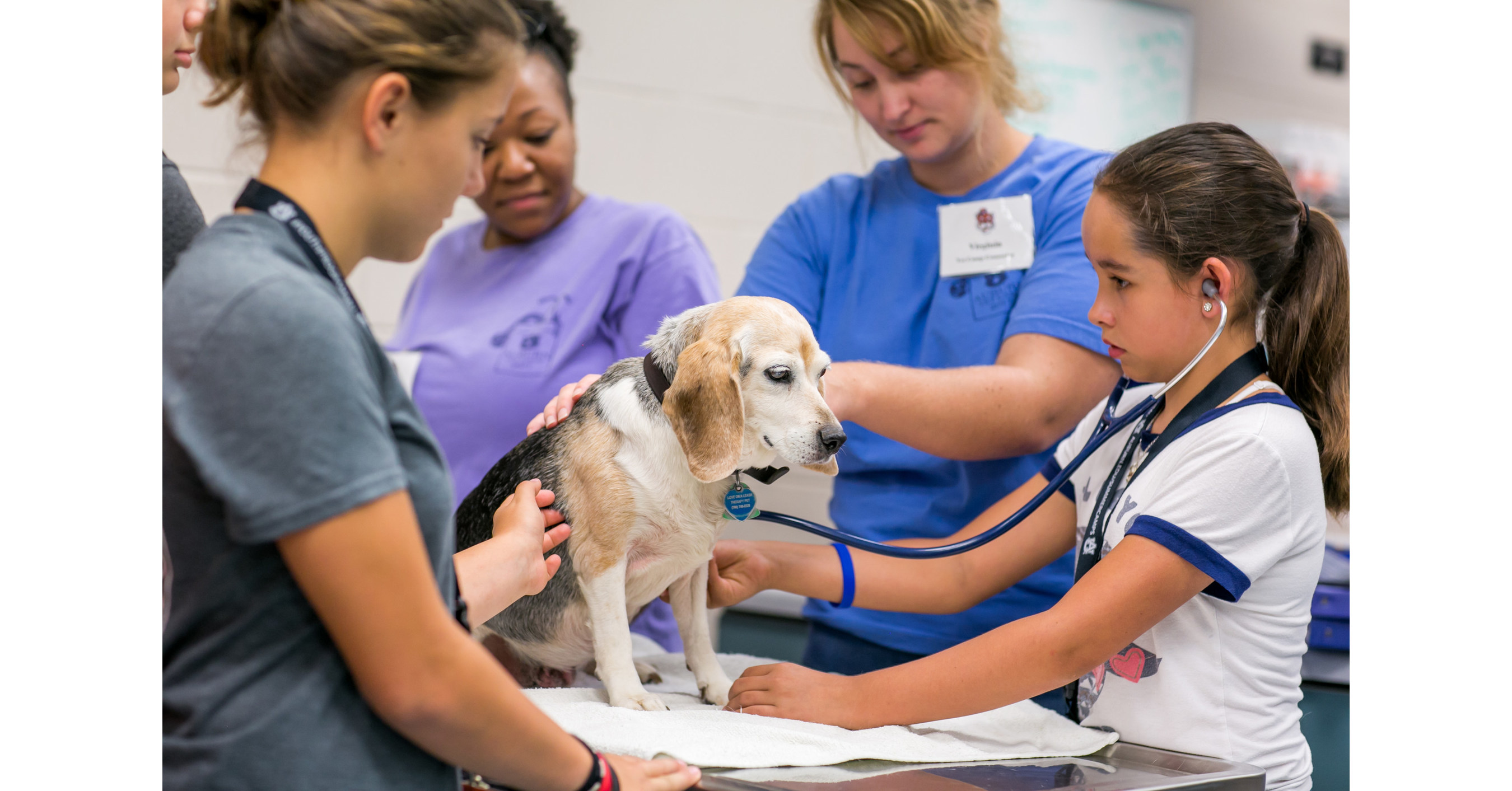 Royal Canin And Vet Set Go Continue Partnership With Launch Of 2018