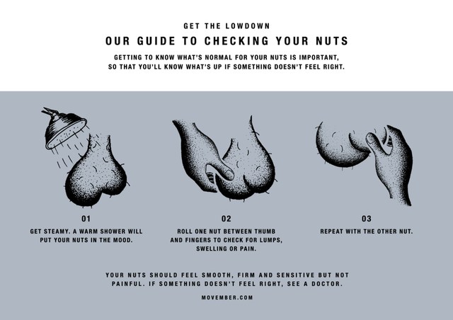 The Movember Foundation Urges Men To Know Thy Nuts For Testicular Cancer Awareness Month