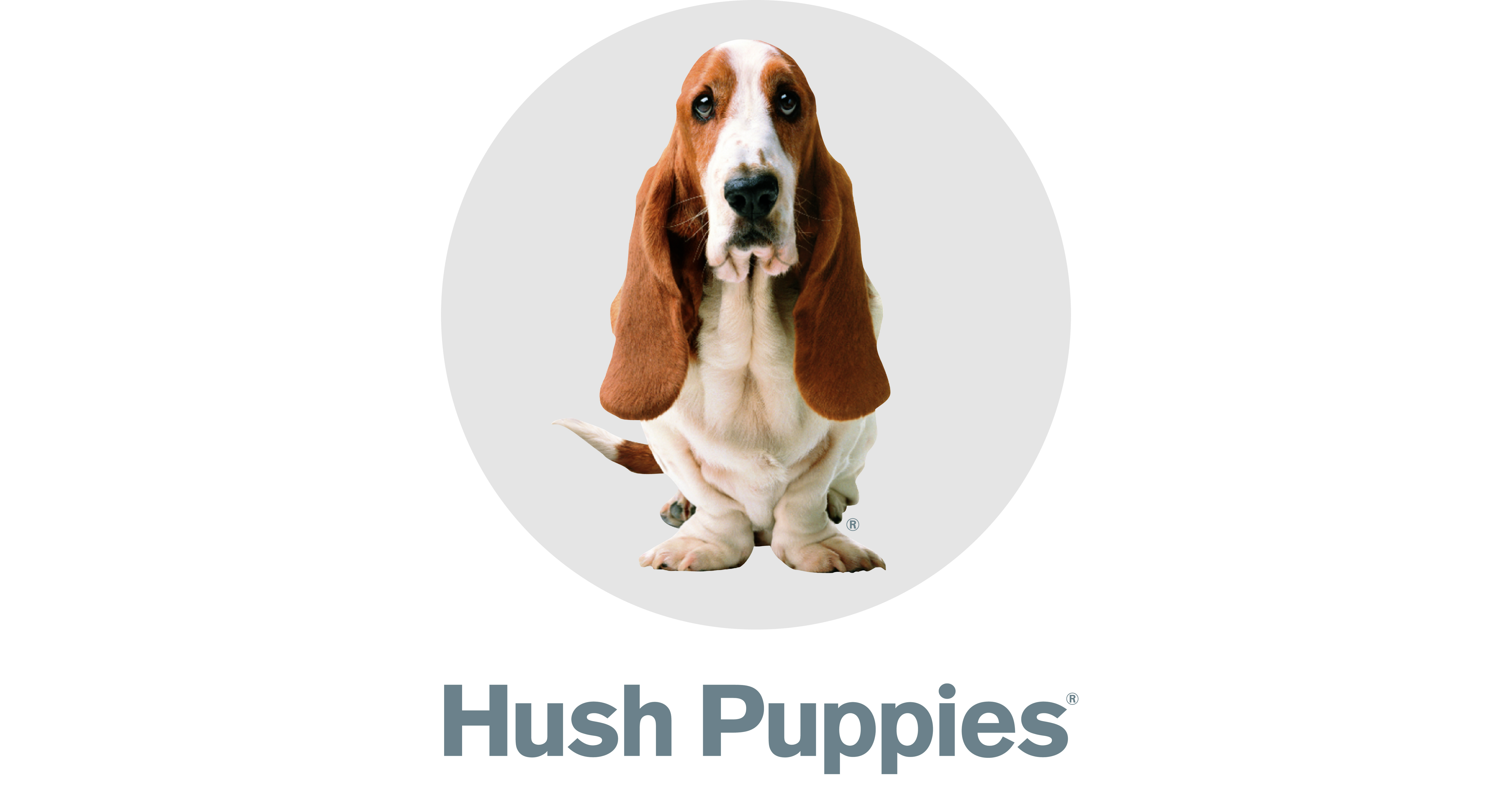 How Do You Say Hush Puppies In Spanish Puppy And Pets