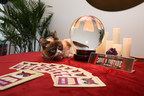 Madame Fortuna is Back; Purina and PetSmart Team Up Again to Help Consumers 'Save a Fortune'