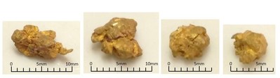 Nuggets 5 to 10 mm in size have been discovered on the Property (CNW Group/Pacton Gold Inc.)