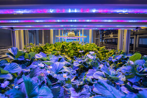 AEssenseGrows Announces International Indoor Farming Symposium in Shanghai