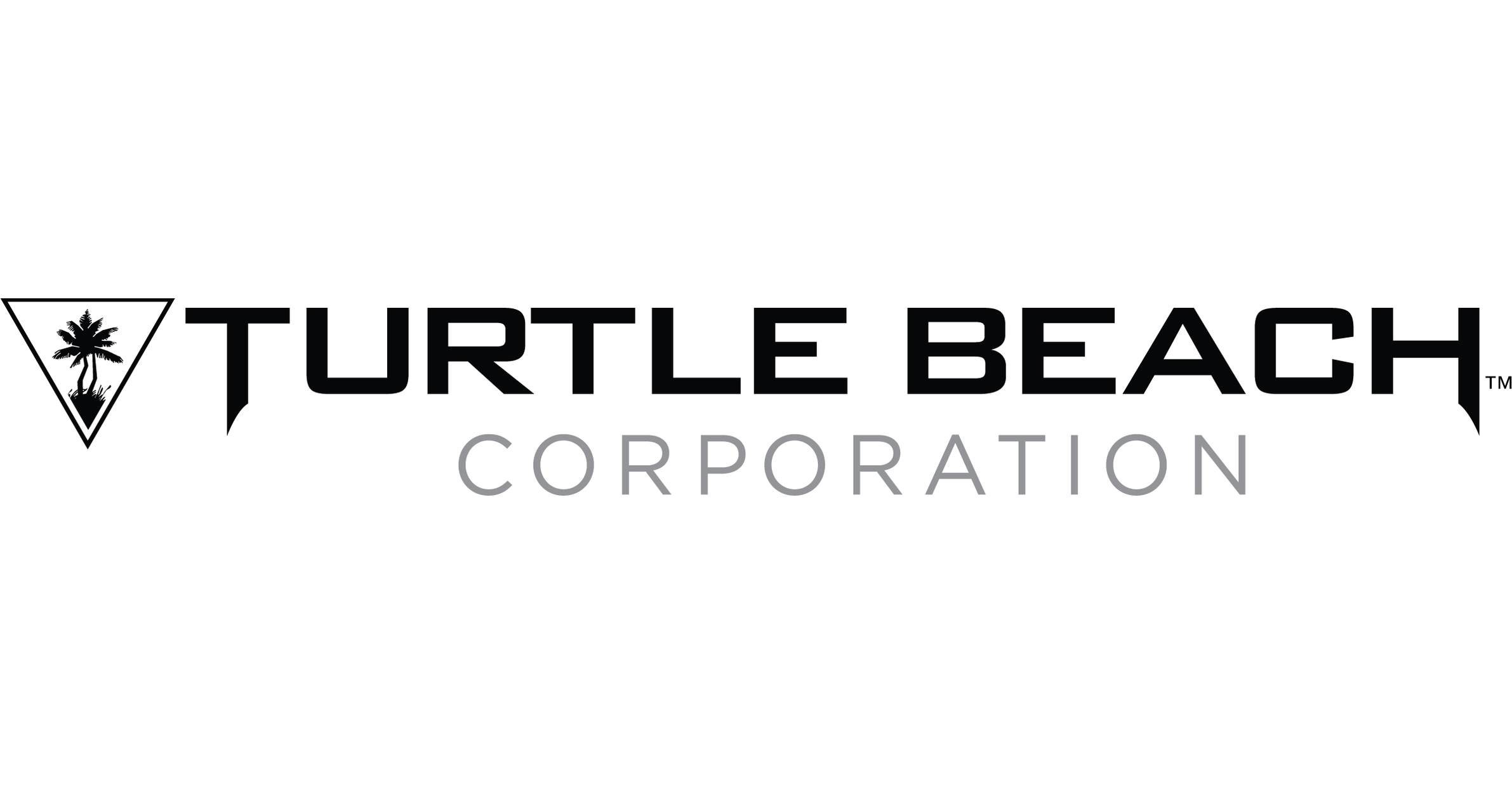 Turtle Beach - Test des souris ROCCAT Kone Pro : un classique qui se veut  moderne - Hardware