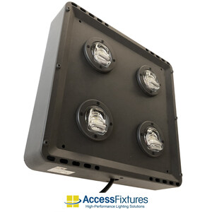 NEW Low-Cost LED Vandal-Resistant Outdoor Lighting from Access Fixtures