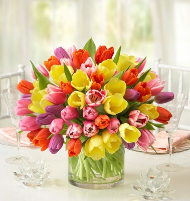 Timeless Tulips®: Assorted Tulips: 60 Stems