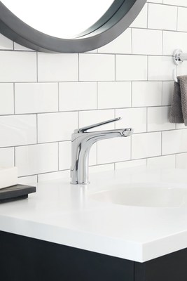 Highlighting a unique, integrated handle, the American Standard Studio S monoblock faucet was recognized with a 2018 Red Dot Product Design Award for its sleek lines and integrated handle design.