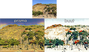 Timaeus Inc. developed an artificial intelligence-based artwork-converting 6K engine known as "BUUT"