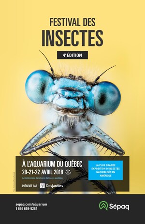 Festival des insectes à l'Aquarium du Québec