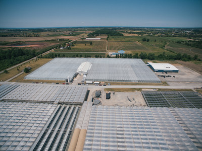 Aerial view of Tweed Farms, Niagara-on-the-Lake (CNW Group/Canopy Growth Corporation)