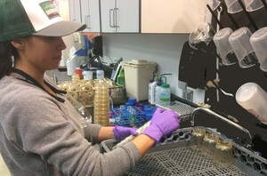 Sierra Nevada Brewing Company Taps Kimberly-Clark Professional to Recycle Used Gloves at its California and North Carolina Facilities