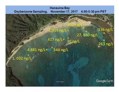 Haereticus Lab Study Finds Sunscreen Pollution Threatens Hanauma Bay in Hawaii