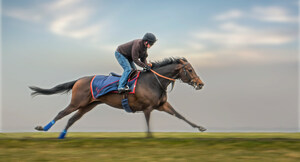 Rob Gronkowski Acquires Stake in Kentucky Derby Contender