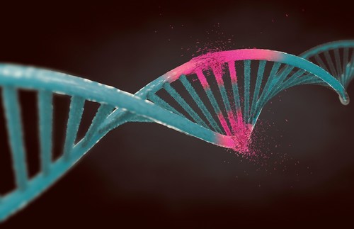 "Merck ha recibido otra patente más para su tecnología CRISPR, esta vez en China".