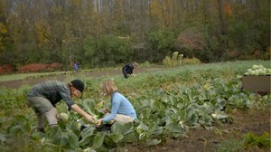 Les terres agricoles de Montréal : une richesse à découvrir, préserver et développer