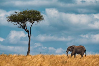 The beautiful landscapes of Tanzania