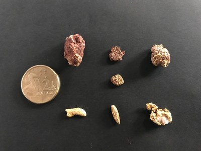 Figure 4: Recently Discovered Gold Nuggets (CNW Group/NxGold Ltd.)
