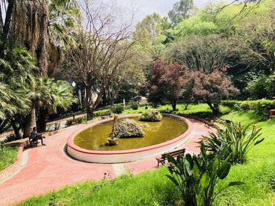 The Algiers World Peace Garden will be situated in Parc de la Liberte in the capital.