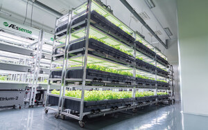 AEssenseGrows Boosts Clone Production 50% with New AEtrium-2.1 SmartFarm-72