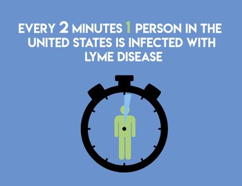 Lyme Disease Fact