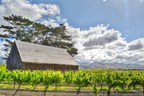 Visit Burgundian Wine Region Reminiscent of Romantic Tuscany on California's Central Coast