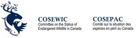 Logo: Comitte on the Status of Endangered Wildlife in Canada (COSEWIC) (CNW Group/Committee on the Status of Endangered Wildlife in Canada)