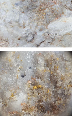 Figure 3a and 3b: Showa mine dump sample, visible gold and silver sulphosalts in thin quartz stockworks cutting silicified fossiliferous laminated tuffaceous mudstone (top image), bottom image zoomed in field of view is approximately 1 cm; SAM01867: 93.3 g/t Au, 17.35 g/t Ag, 21.4 ppm Sb (CNW Group/Japan Gold Corp.)