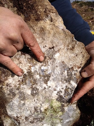 Photo 1 and 2:  Coarse grained galena (silver colour – lead sulphide) and sphalerite (brown colour- zinc sulphide) hosted within calcite and limestone. (CNW Group/Hannan Metals Ltd.)