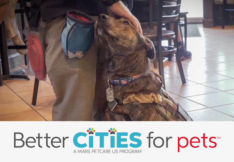 BETTER CITIES FOR PETS™ is a program of Mars Petcare US, the world’s leading pet nutrition and health care business. Mars Petcare has joined forces with American Humane, the country’s first national humane organization which has been supporting the U.S. military for more than 100 years, to produce two free service dog training videos designed to help train business and retail employees to better accommodate veterans and other patrons who have service dogs.