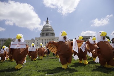 The #EaglesinDC rallied at the Capitol to tell Congress to 
