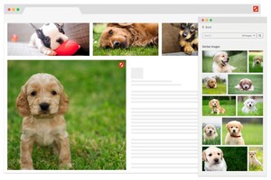 Shutterstock Launches Suite of Deep Learning-Powered Search Tools Including Reveal, a New Plugin for Google Chrome