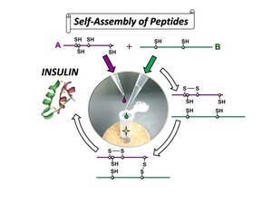 Tokai University Research: High Efficiency Synthesis of Insulin by Self-assembly Based Organic Chemistry