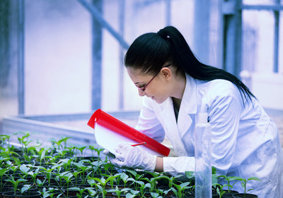 Novas empresas usam novas ferramentas, para criar novas opções para agricultores