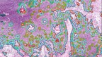 Brain Tumor Atlas Published In The Journal Science