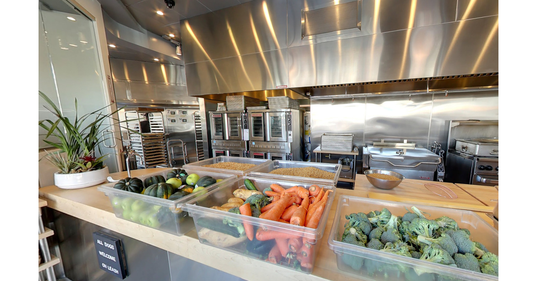 Full-Service Kitchen Opens in Petco - San Diego Business Journal