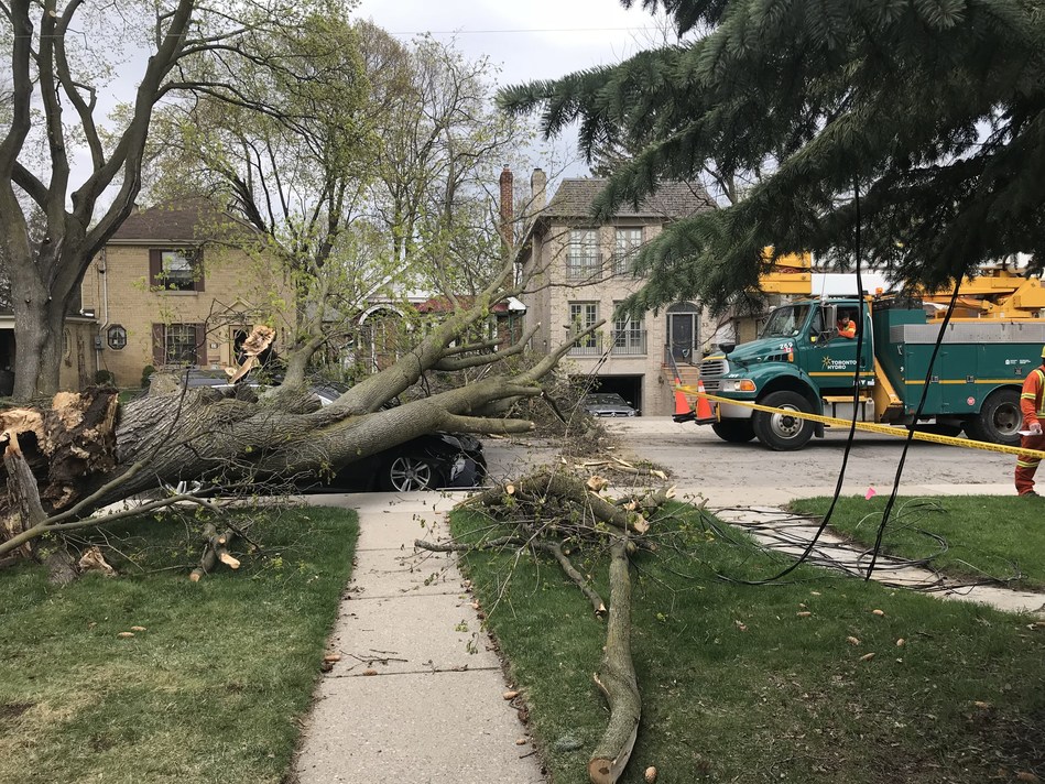 Latest Windstorm Proves The Importance Of Powerline Safety
