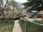 Latest windstorm proves the importance of powerline safety