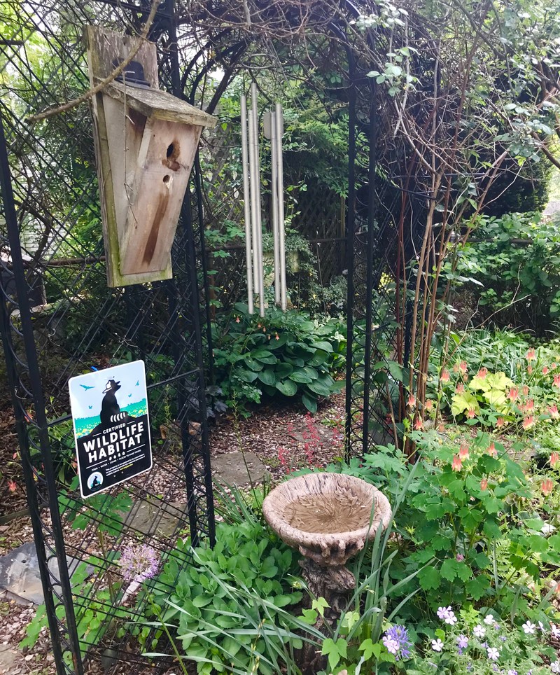 This Certified Wildlife Habitat® contains all 4 elements wildlife need - food, water, cover, and spaces to raise young.