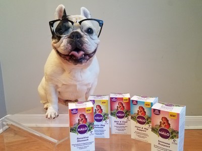 Halo "Furfluencer" Manny the Frenchie is a fan of the brand's new line of Whole Food Condition-Specific Supplements for dogs