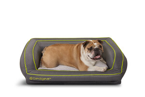 BEDGEAR® Expands Lifestyle Brand with First PERFORMANCE® Pet Beds