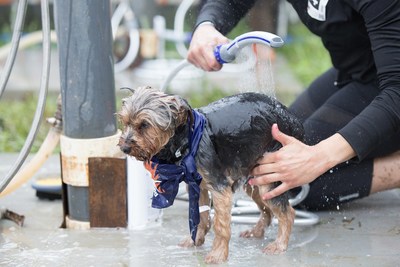 Ruff Mudder makes its official debut thanks to Water Pik, Inc. and Tough Mudder Inc.