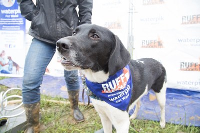 Ruff Mudder makes its official debut thanks to Water Pik, Inc. and Tough Mudder Inc.