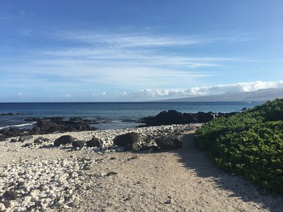 Photo of the Kohala Coast on the island of Hawaii taken this morning.