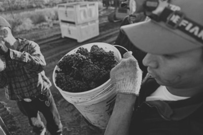 James and Molli Martin of the Sunshine Mill and Copa Di Vino Celebrate the Eighth Year Anniversary of Their Urban Renewal Project in The Dalles, Oregon