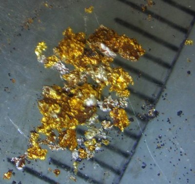 Figure 2: Fine gold discovered at surface (CNW Group/NxGold Ltd.)