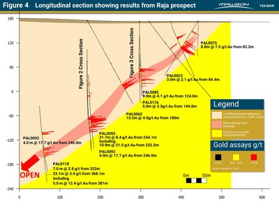 Figure 4 Longitudinal section showing results from Raja prospect (CNW Group/Mawson Resources Ltd.)