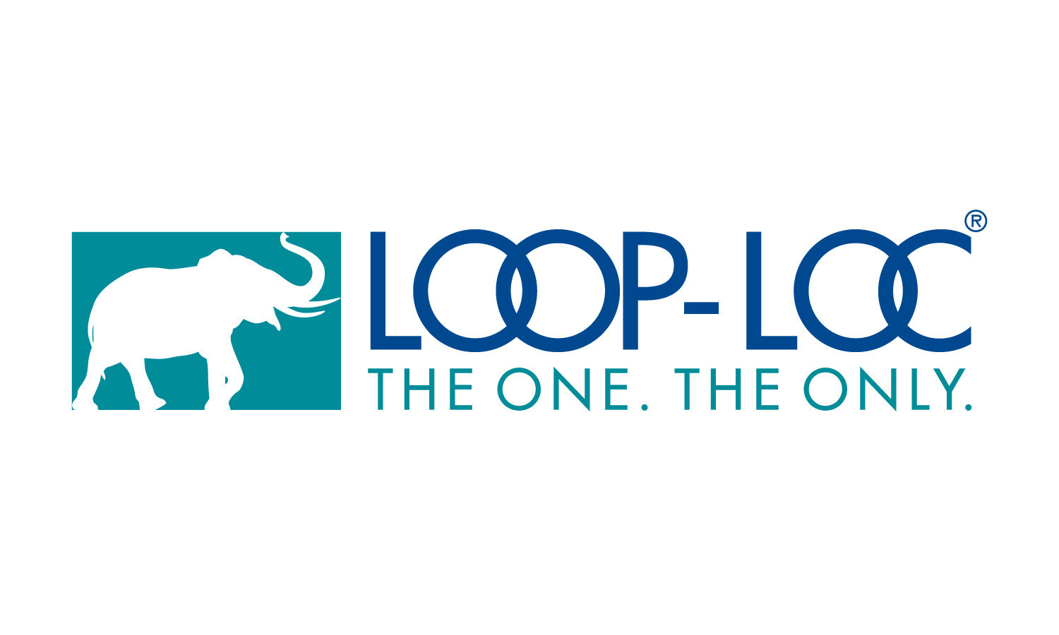 LOOP-LOC Discusses the Year-Round Cost to Expect When Owning a Pool