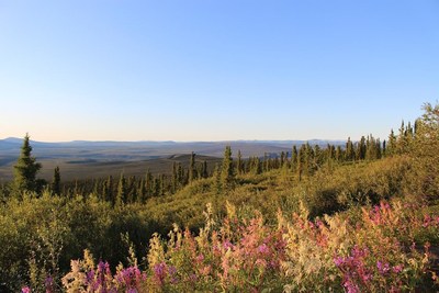 Send us your shots like this (CNW Group/Royal Canadian Geographical Society)