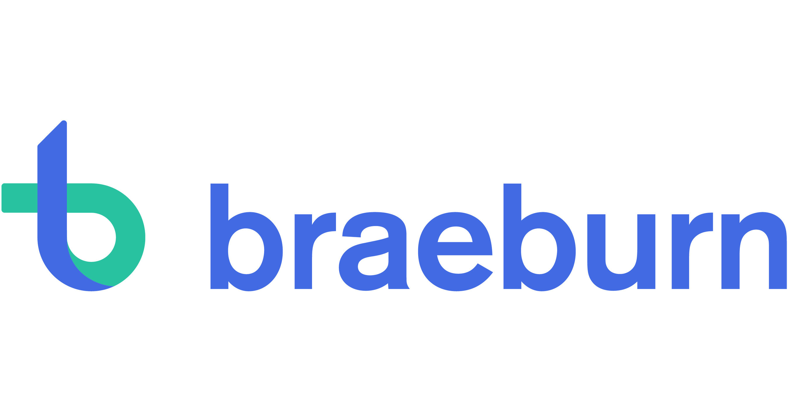Braeburn pharmaceuticals ipo best investment purses