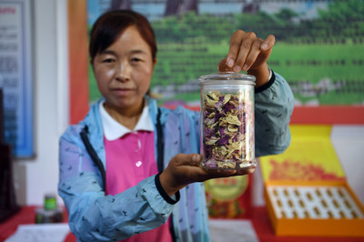 On May 25, a staff is displaying one tea product made from rockii peonies.
