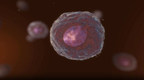 Neue Forschungsergebnisse auf der ASCO-Jahrestagung: Zirkulierende Tumorzellen helfen bei der Behandlung von metastasierendem Brustkrebs
